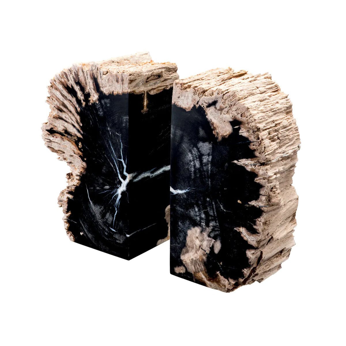 Bookend Opia Petrified Wood Set of 2