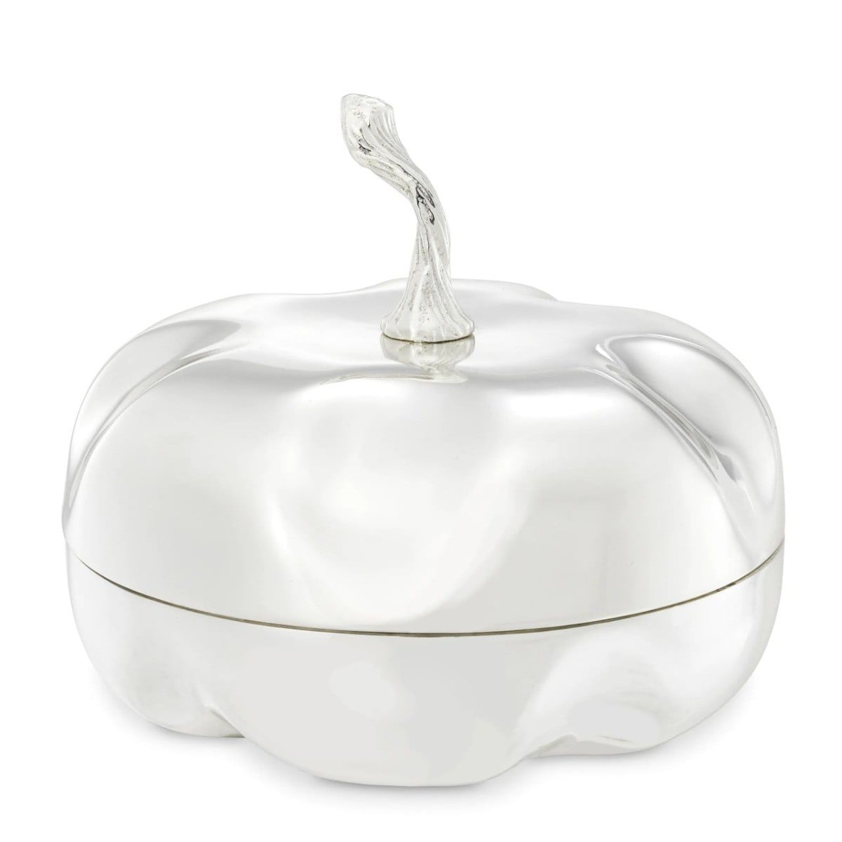 Zucca Box in Silver
