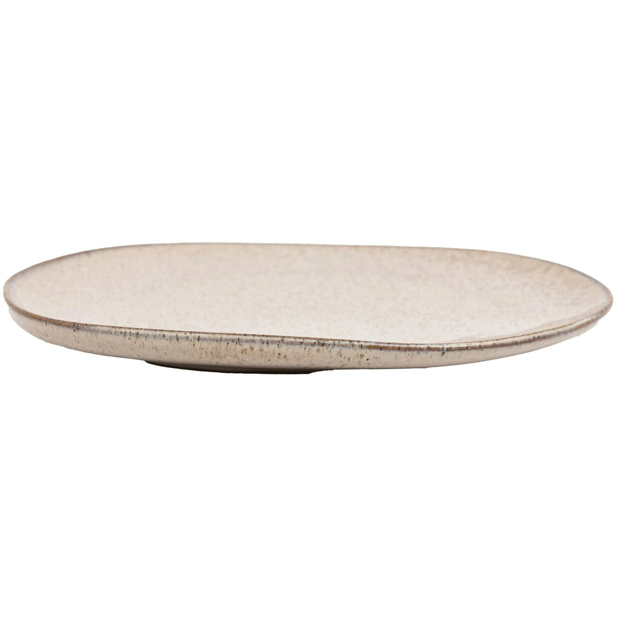 Speckle Glaze Dinner Plate Oatmeal Set of 4