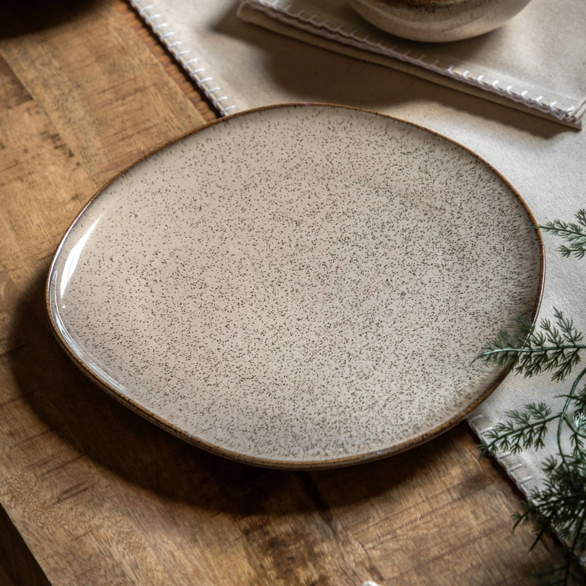 Speckle Glaze Dinner Plate Oatmeal Set of 4