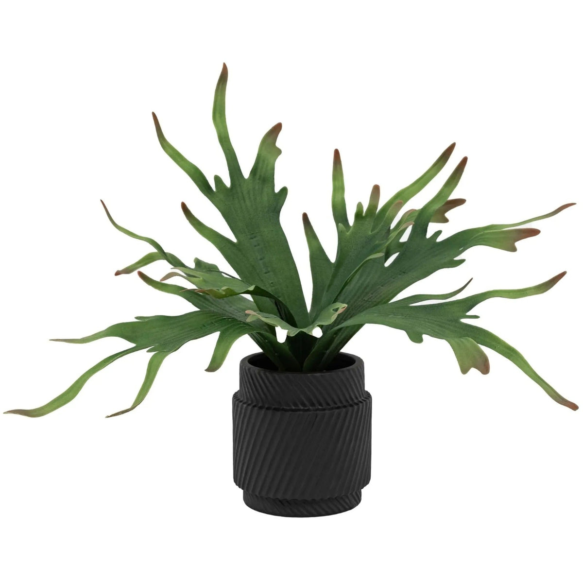 Faux Playycerium Multi Colour in Ceramic Pot