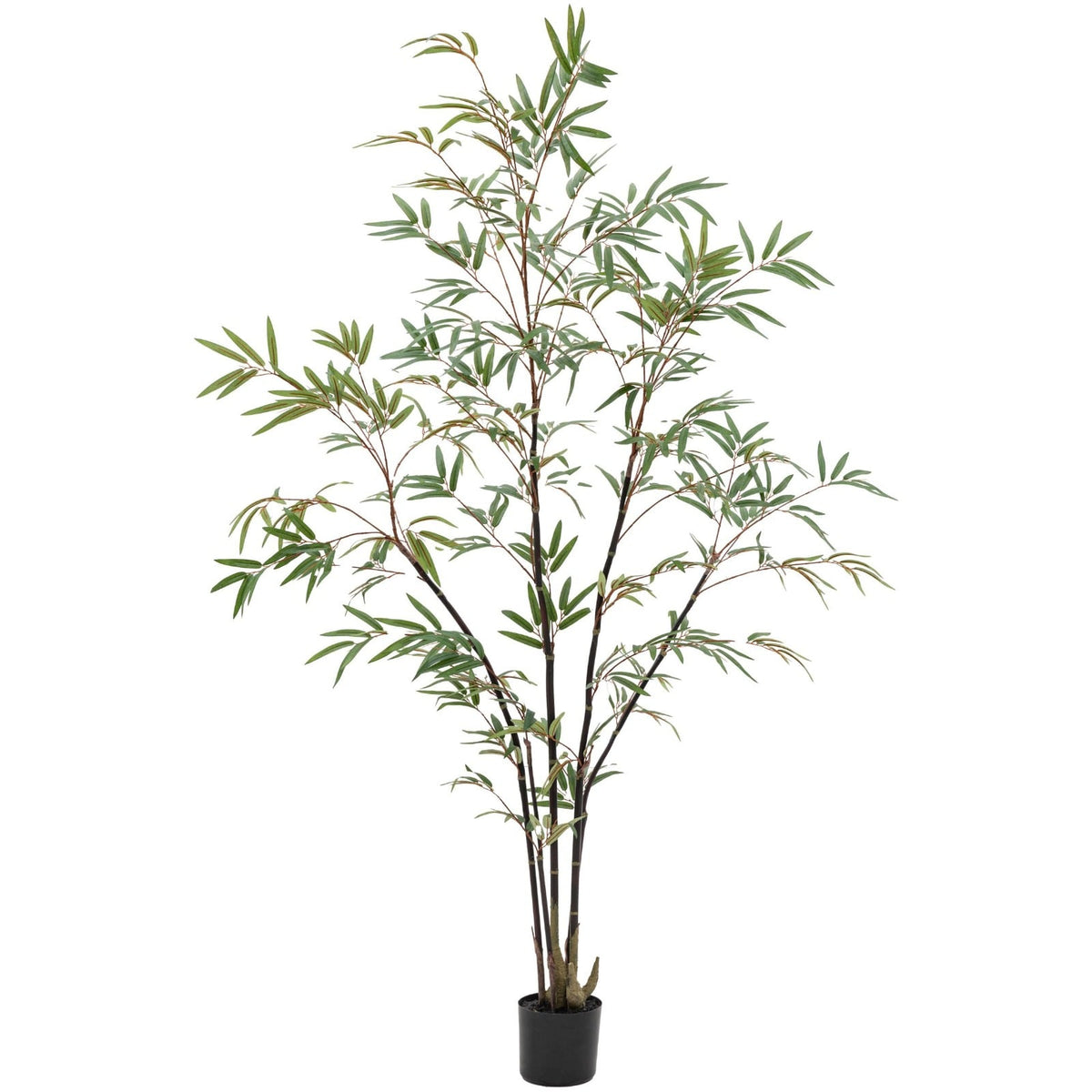 Potted Bamboo Tree 5ft