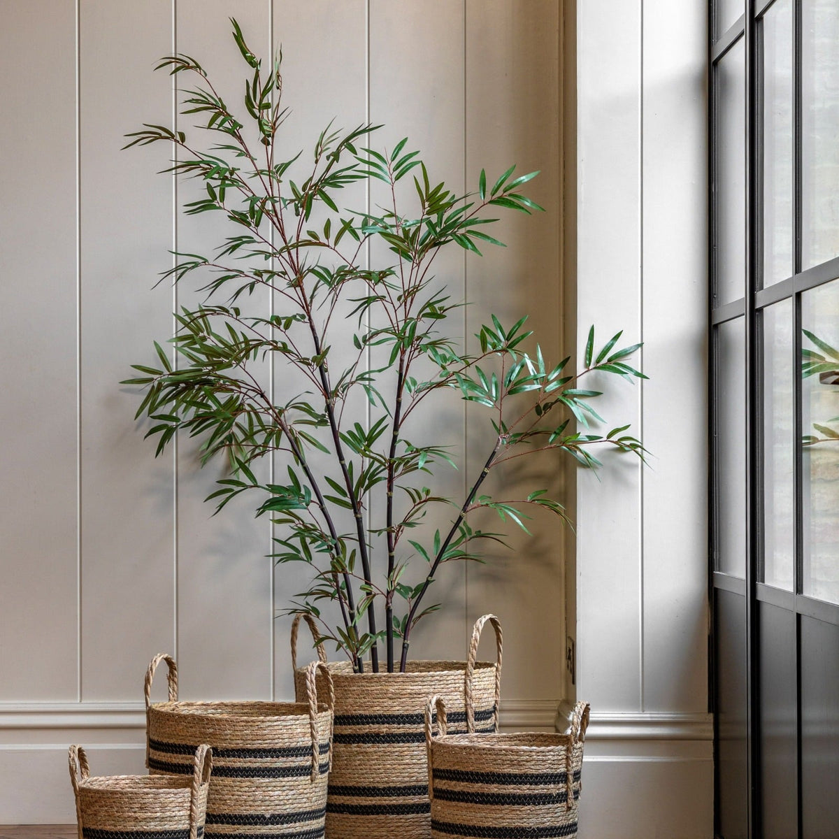 Potted Bamboo Tree 5ft