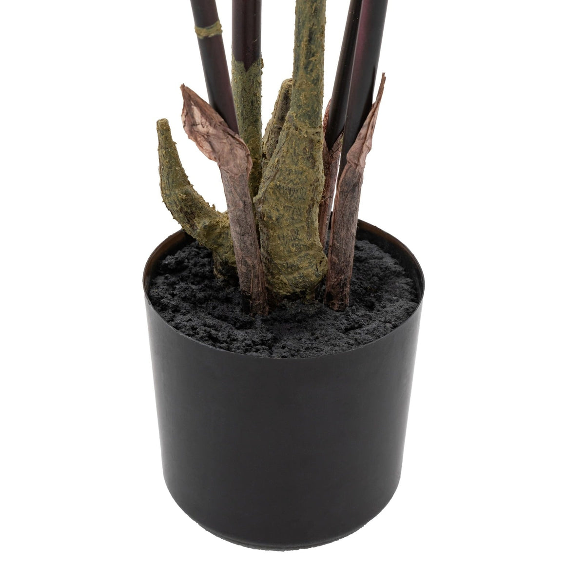 Potted Bamboo Tree 5ft