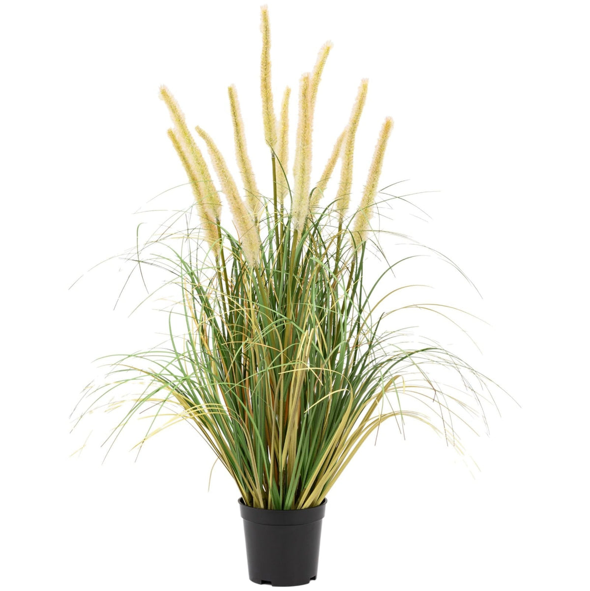 Potted Grass with Cattail Seed Heads Small