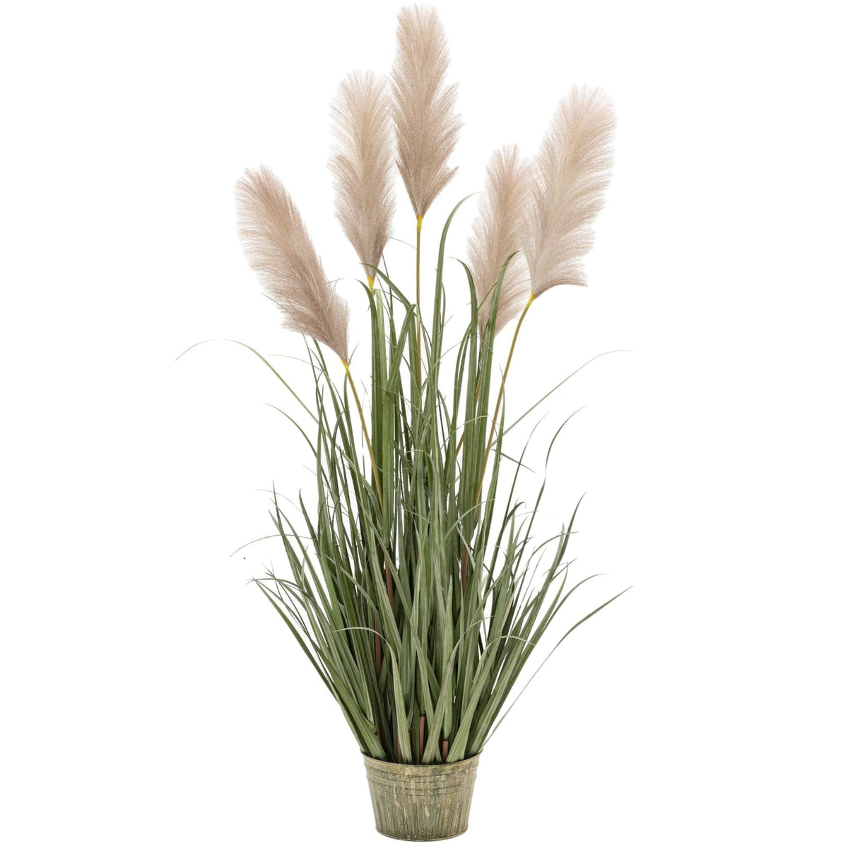 Potted Grass with Pampas Seed Heads Small