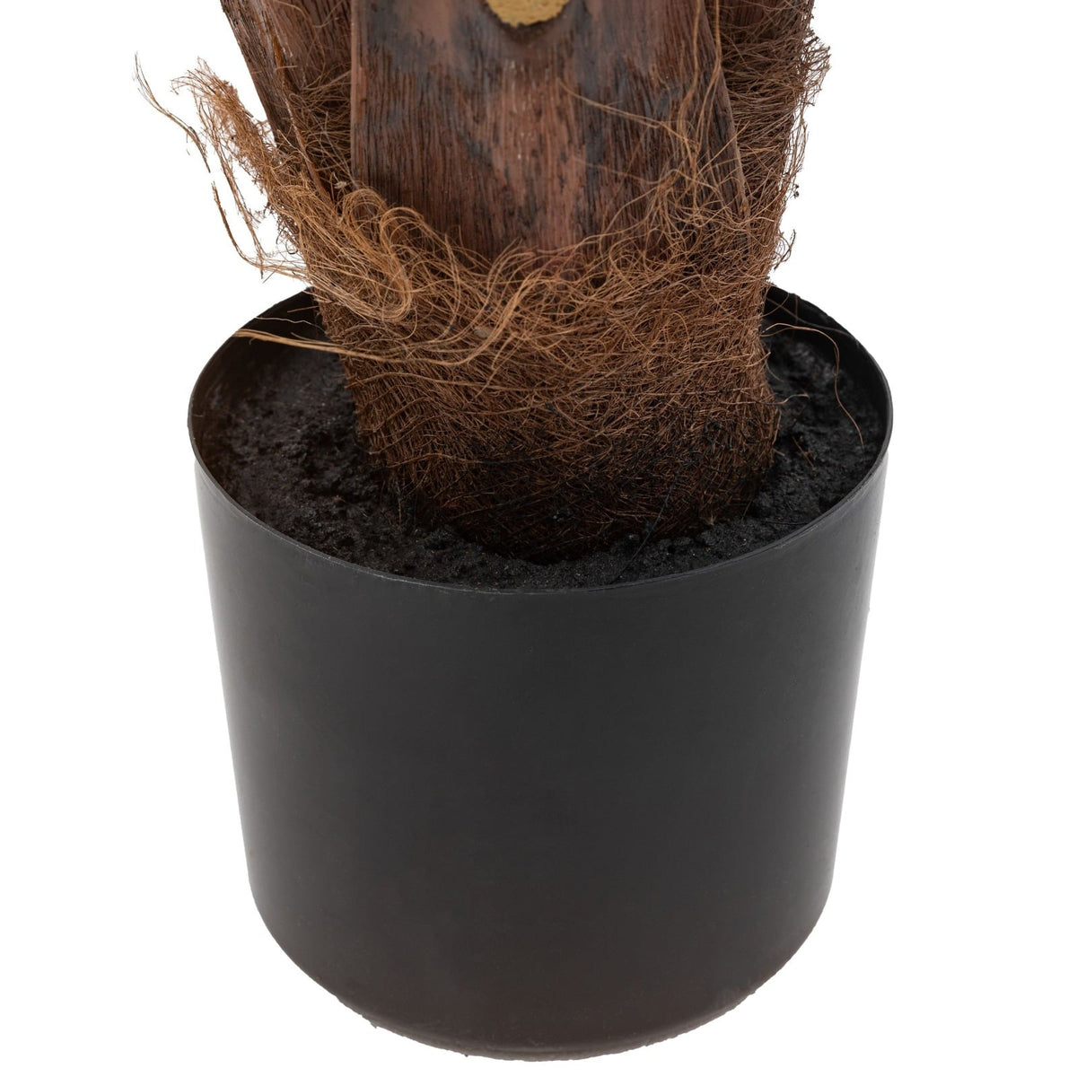 Potted King Kentia Palm Tree 4ft
