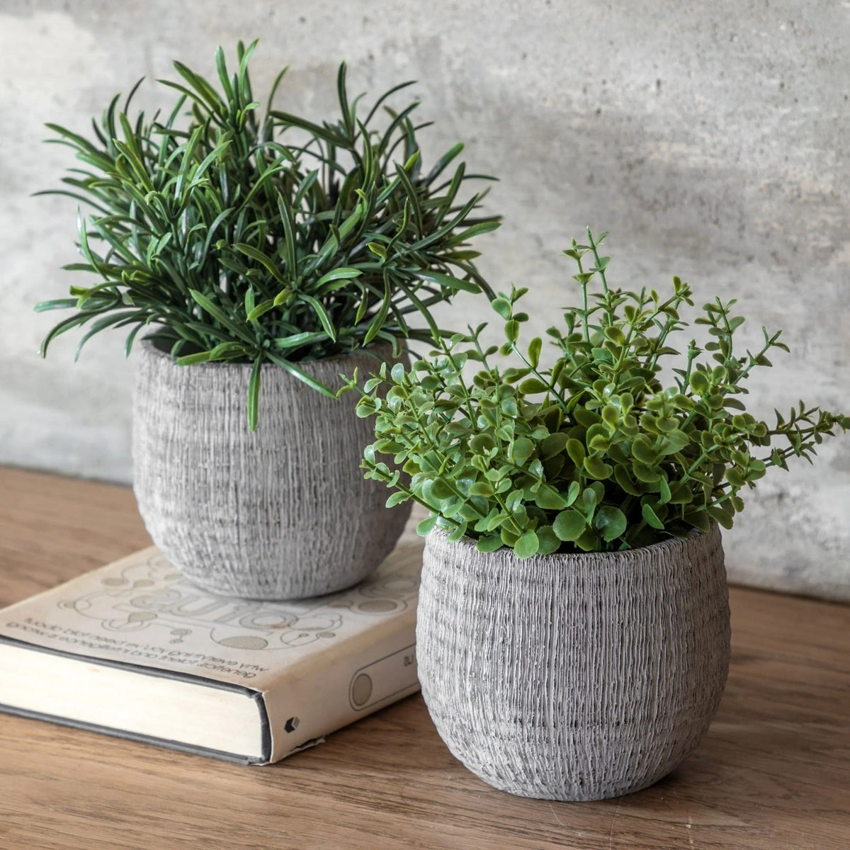 Potted Plant Ceramic Scratch Pot Rosemary Set of 2