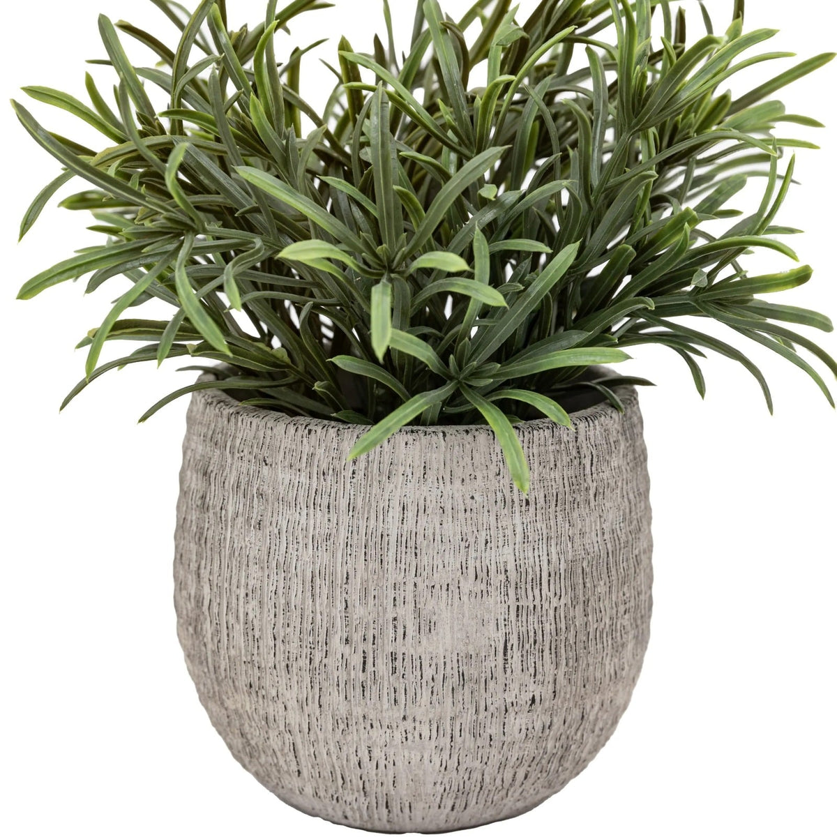 Potted Plant Ceramic Scratch Pot Rosemary Set of 2