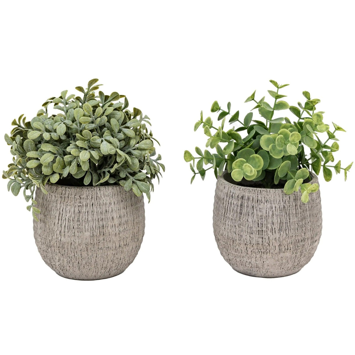 Potted Plant Ceramic Scratch Pots Sage Set of 2