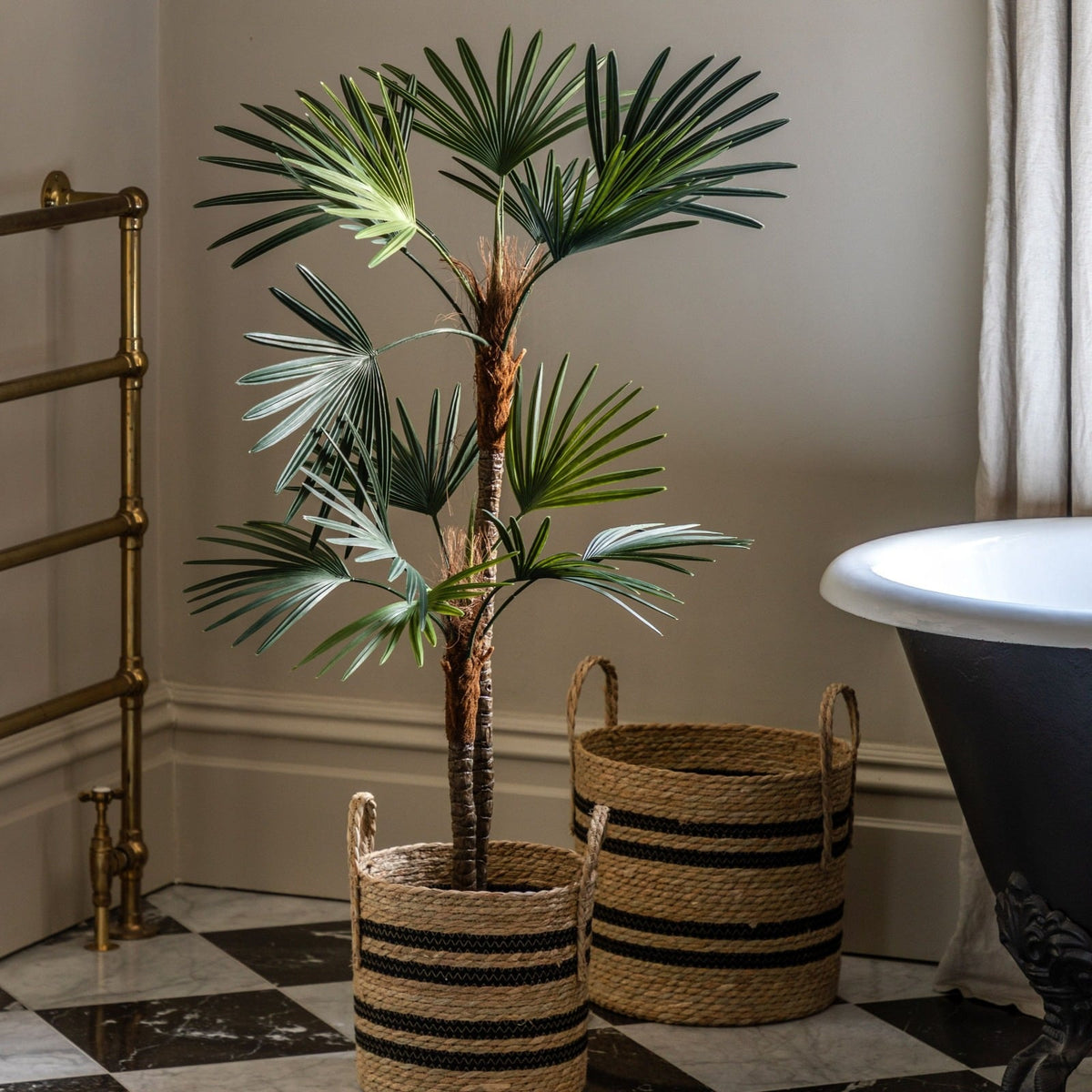 Potted Statement Palm Large