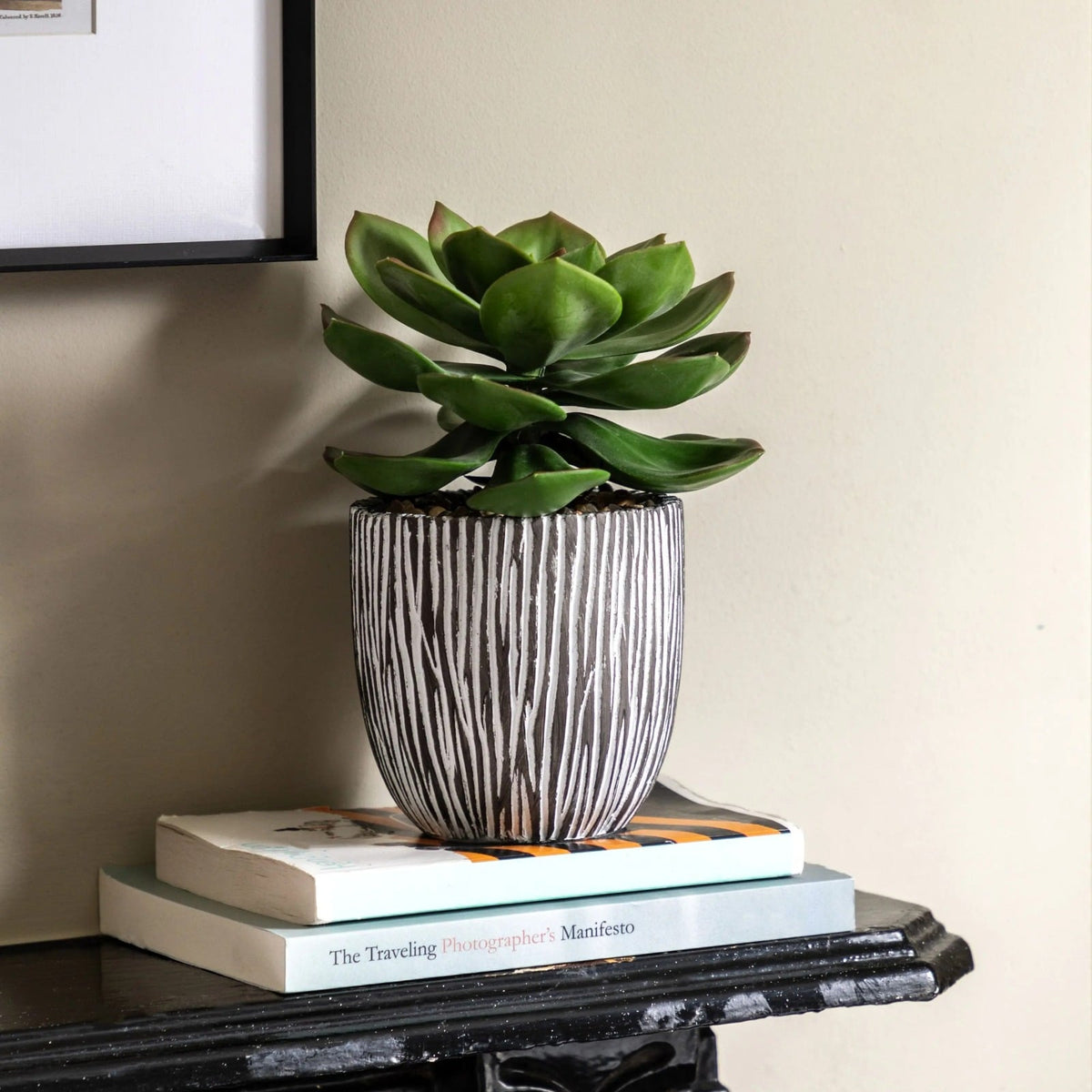 Potted Succulent in Ribbed Black Ceramic Pot