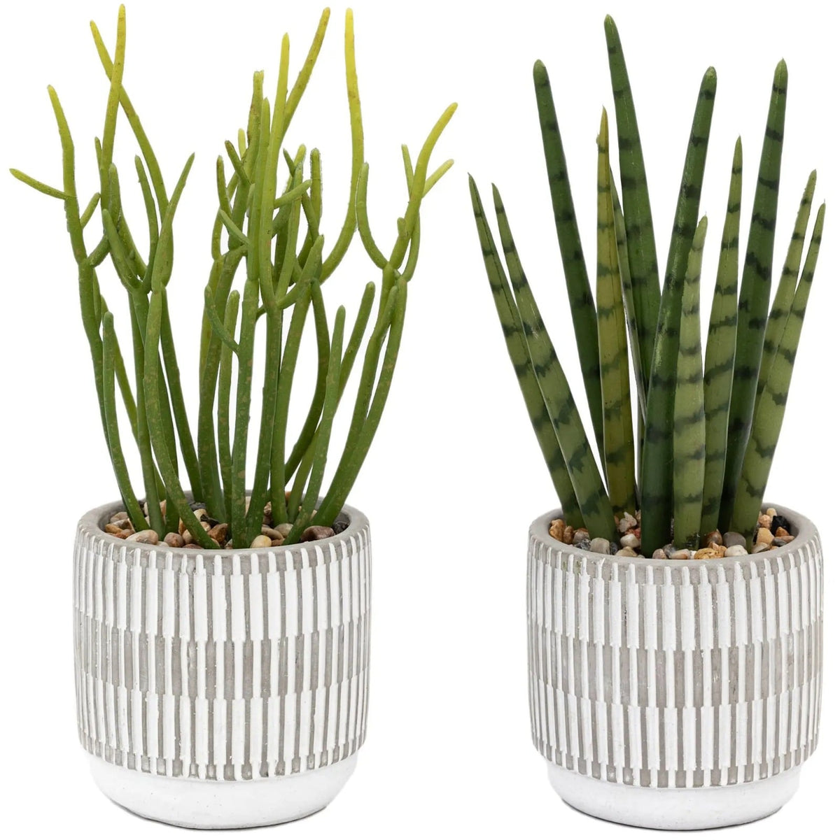 Small Succulents Ceramic Pots Set of 2