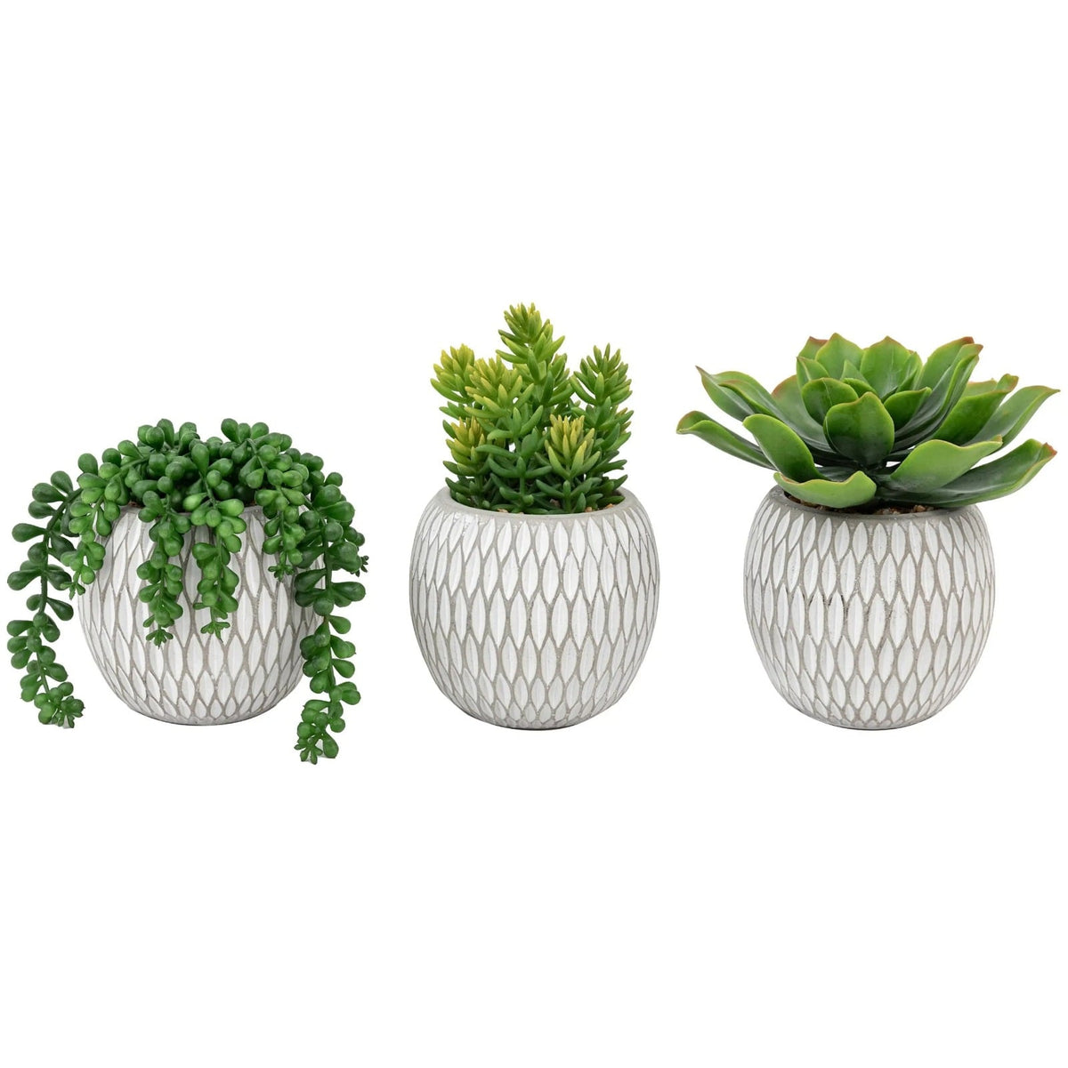 Small Succulents Ceramic Pots Set of 3