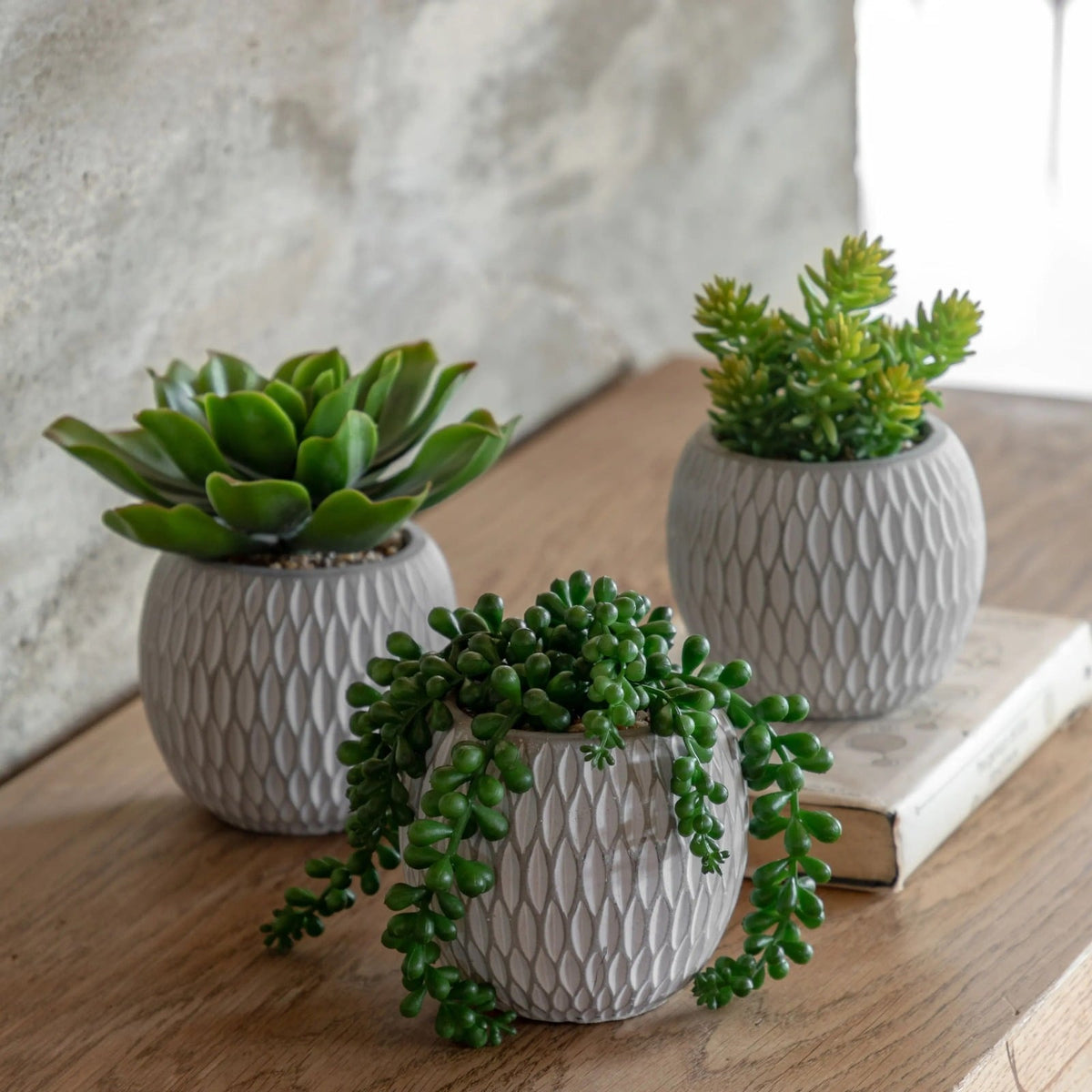 Small Succulents Ceramic Pots Set of 3