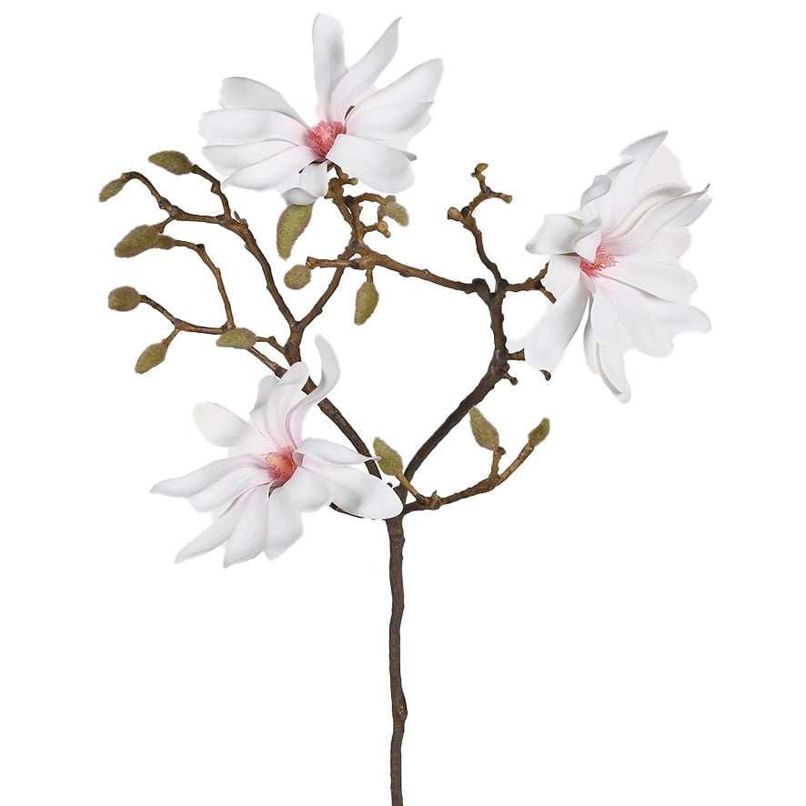 Touch of Blush Magnolia Spray with Leaves