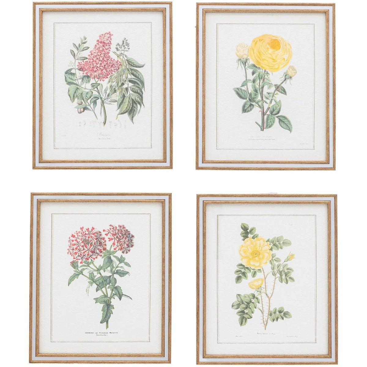 Floral Quartet Framed Art Set of 4