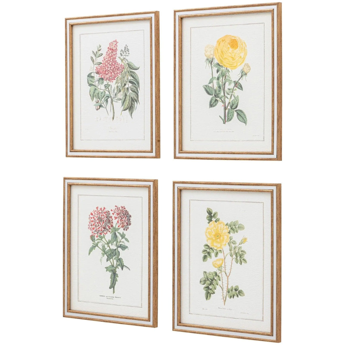 Floral Quartet Framed Art Set of 4