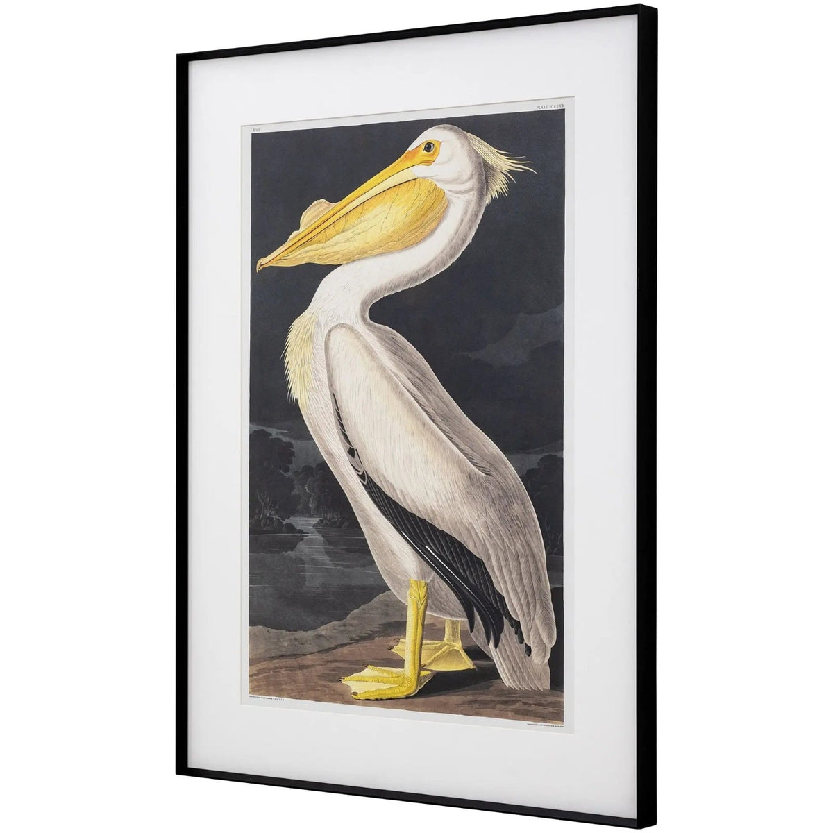 Pellicano Framed Art