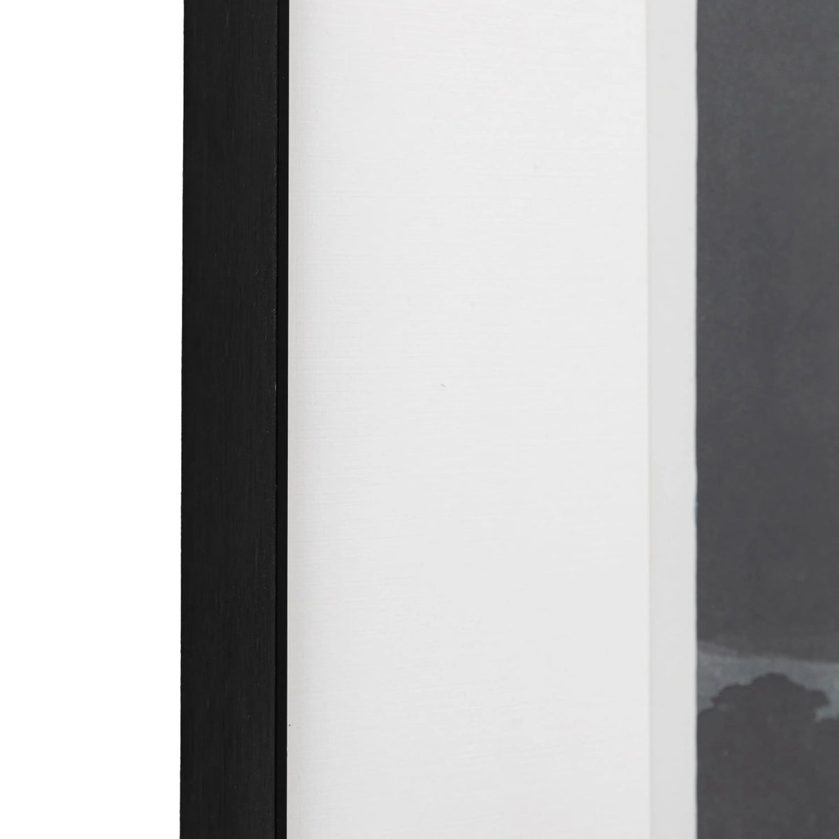 Pellicano Framed Art
