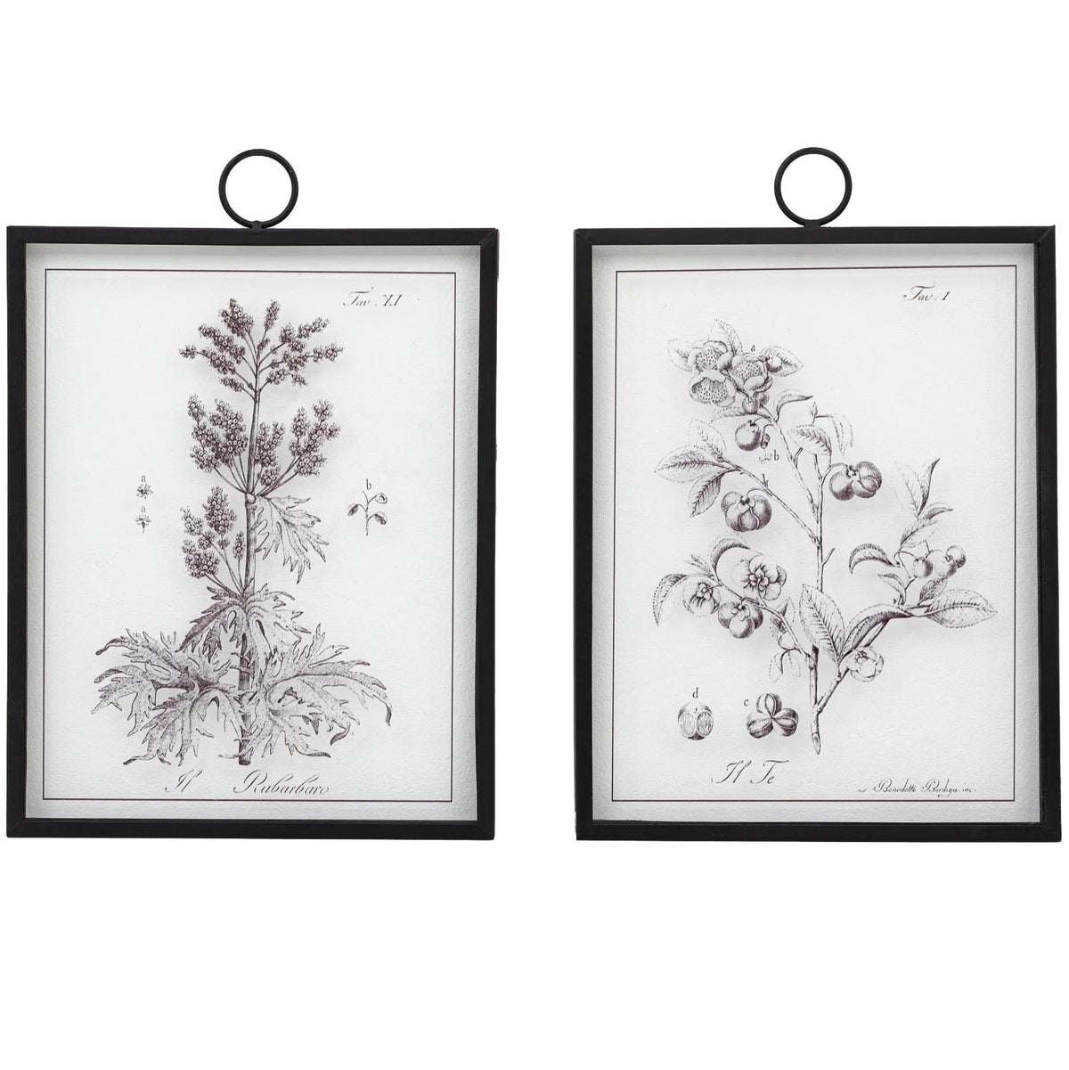 Petiole Art Set of 2
