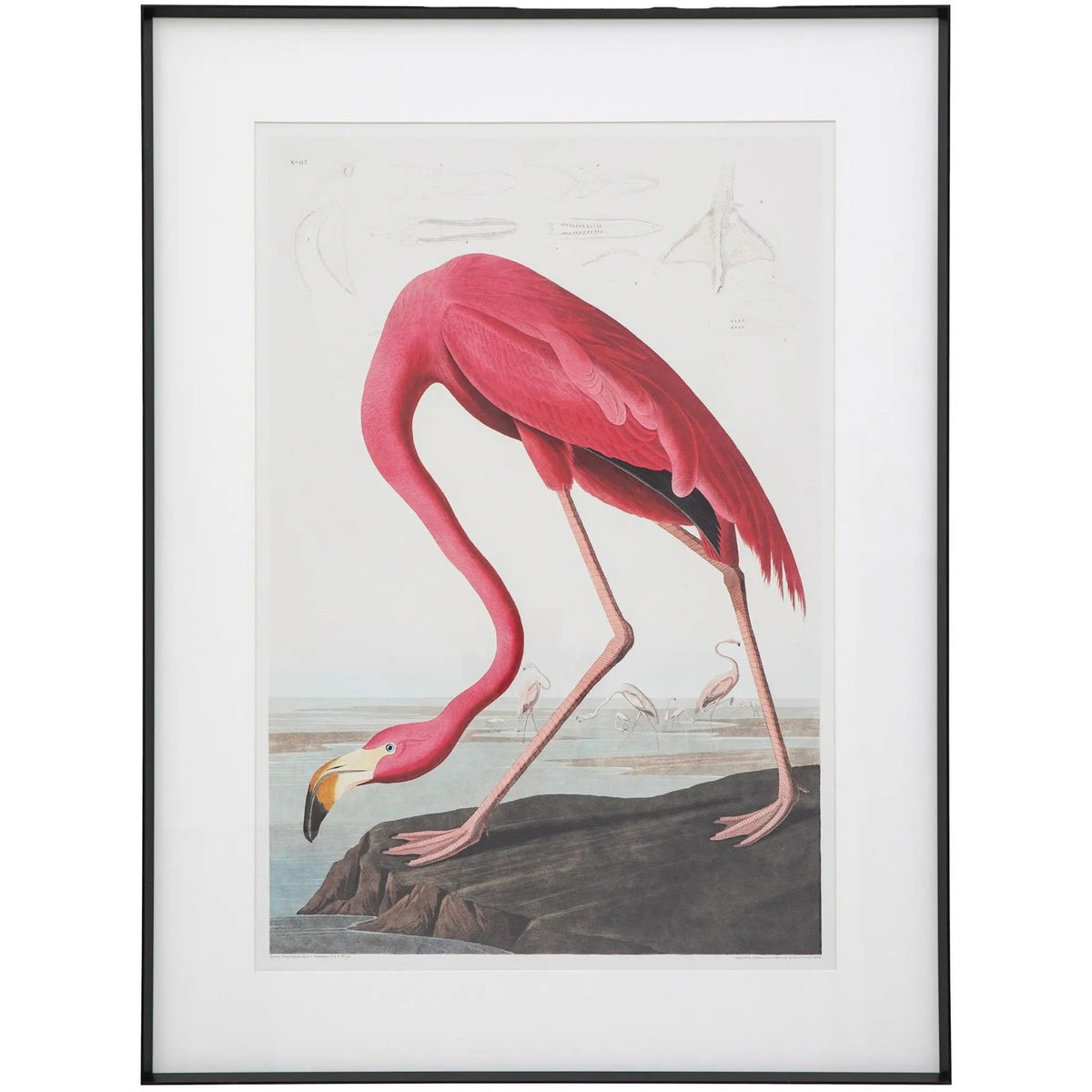 Wading Flamingo Framed Art