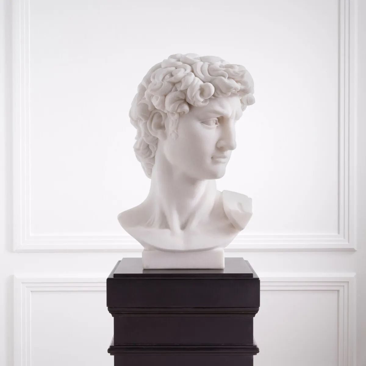 David Head Bust in Marble