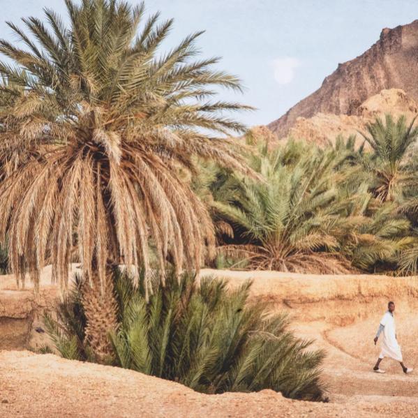 Moroccan Oasis Photography Print