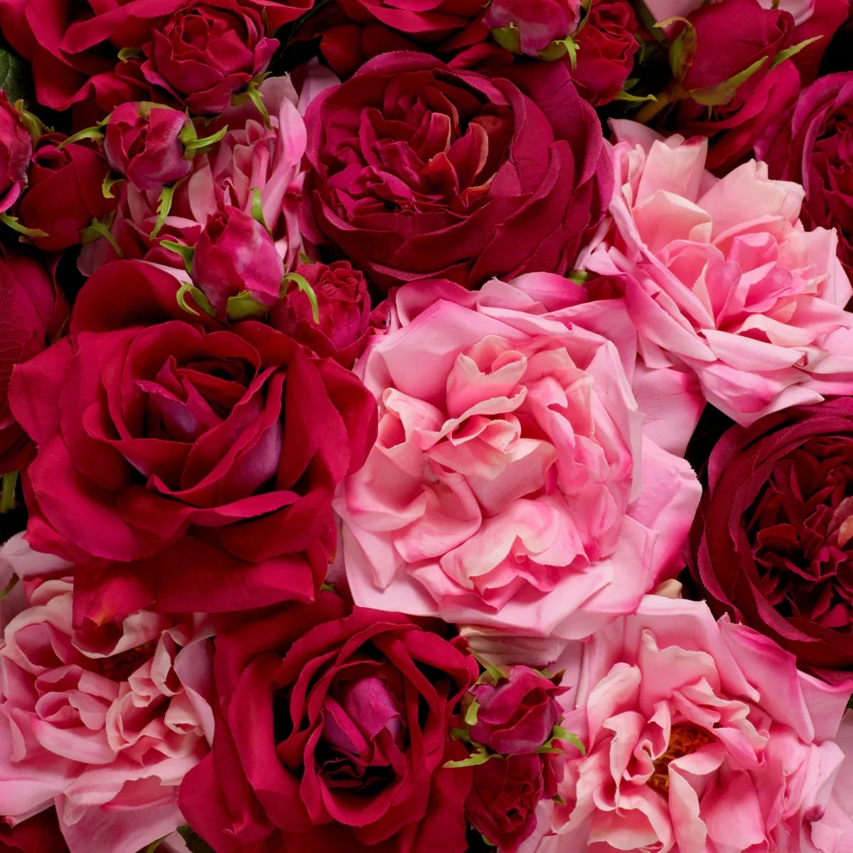 Bouquet of Roses Real Touch 72 Pieces in 3 Varieties in Pink and Red