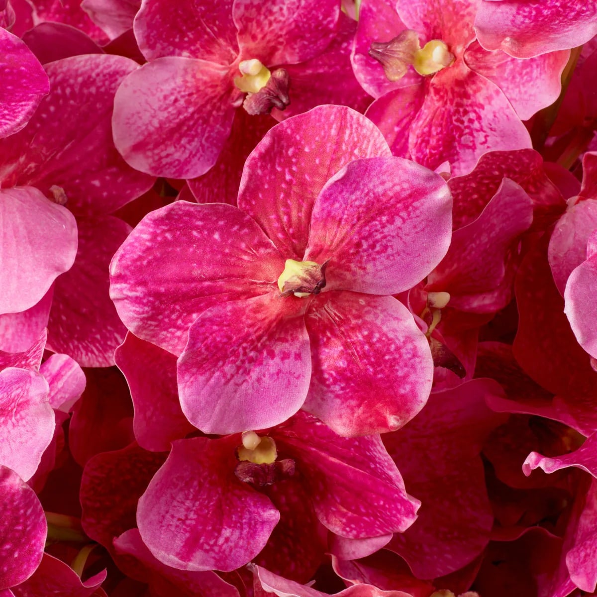 Bouquet of Vanda Orchids Real Touch 24 Pieces in Pink