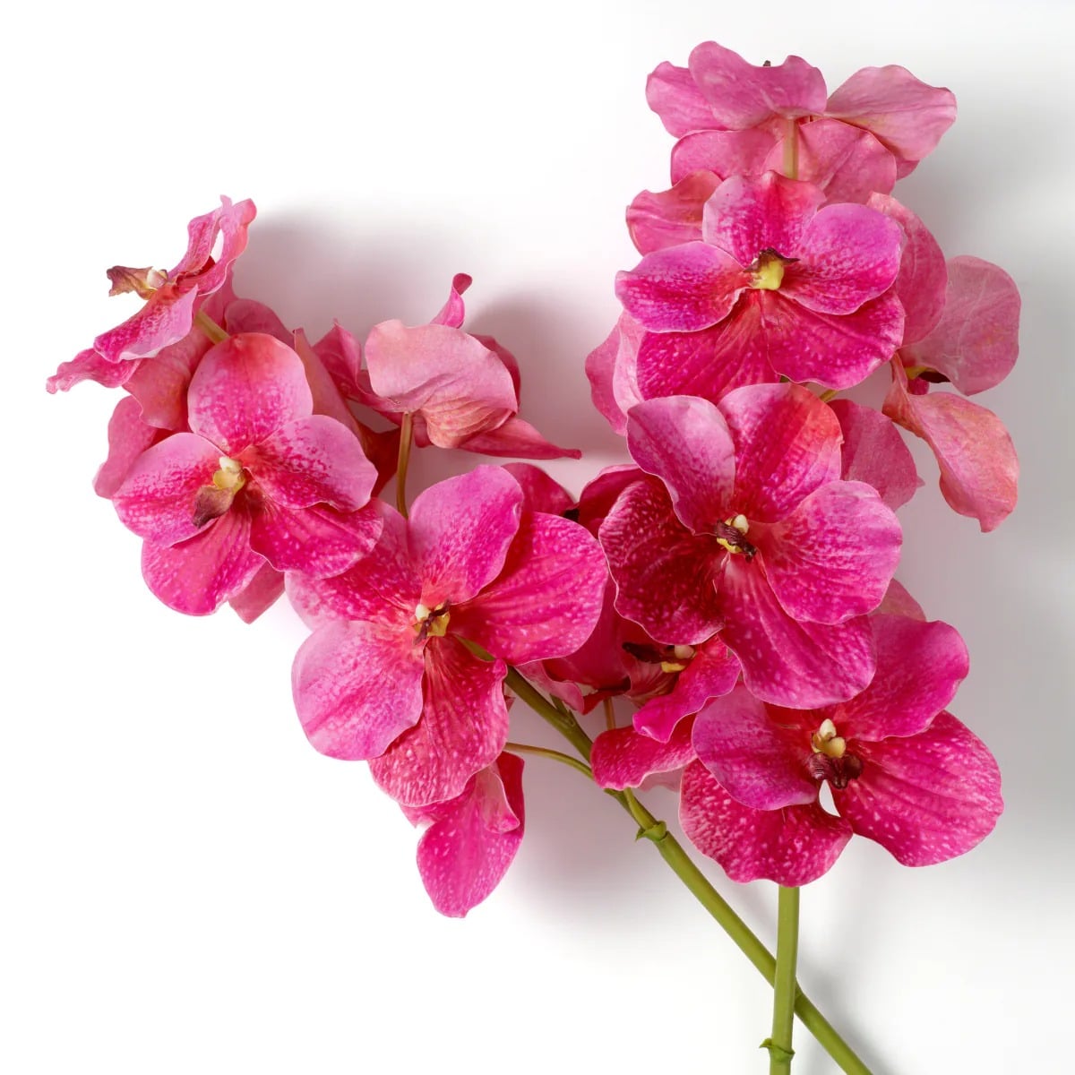 Bouquet of Vanda Orchids Real Touch 24 Pieces in Pink