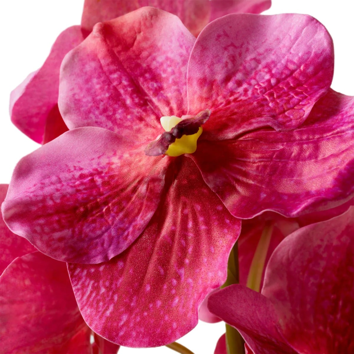 Bouquet of Vanda Orchids Real Touch 24 Pieces in Pink