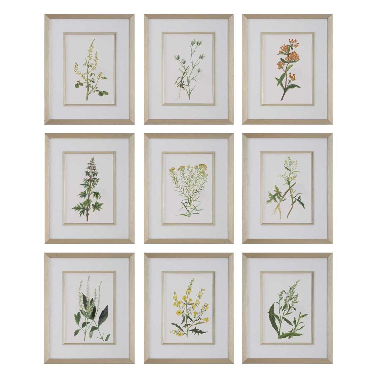 Botanical Flowers Framed Prints, Set of 9