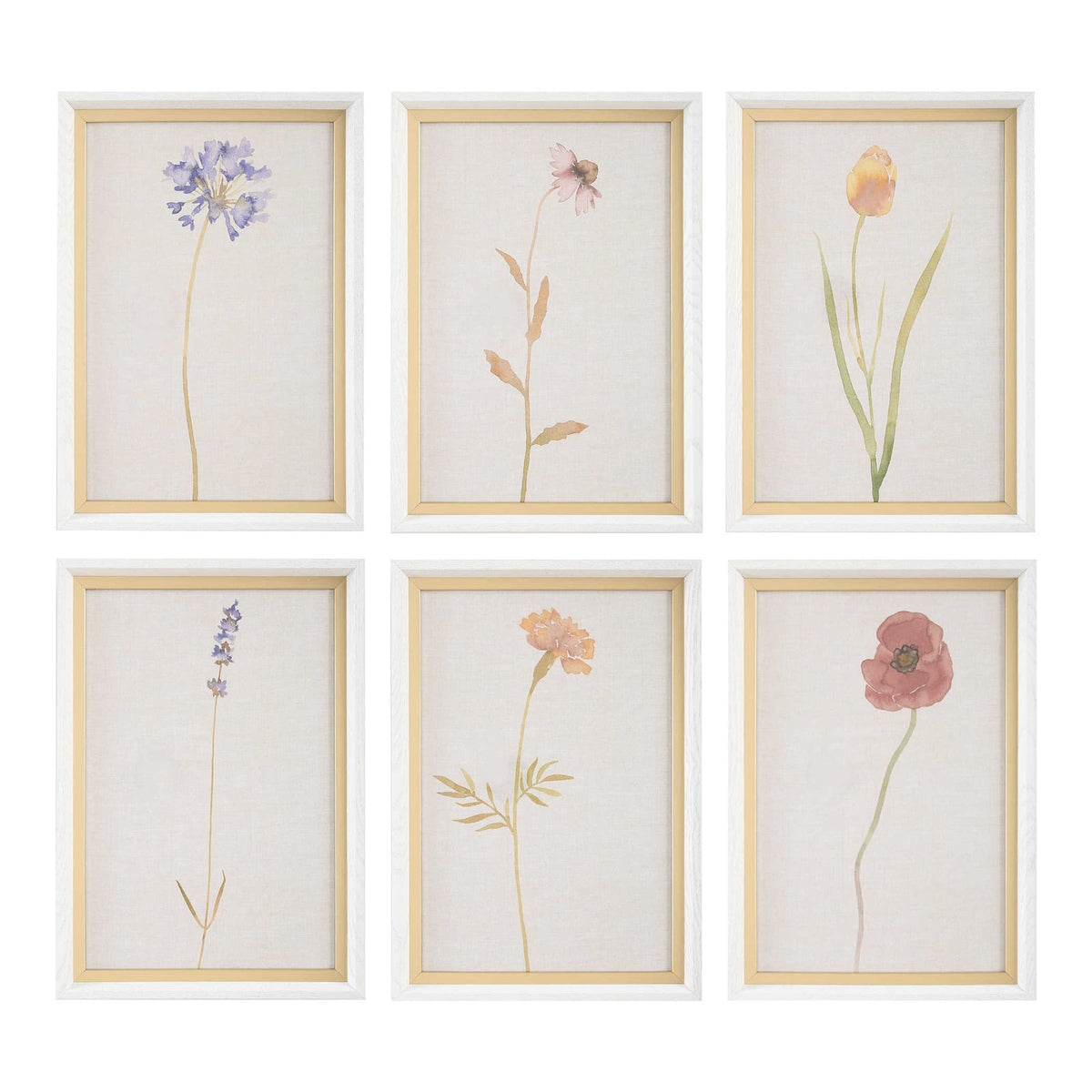 Wild Flourish Framed Prints Set of 6