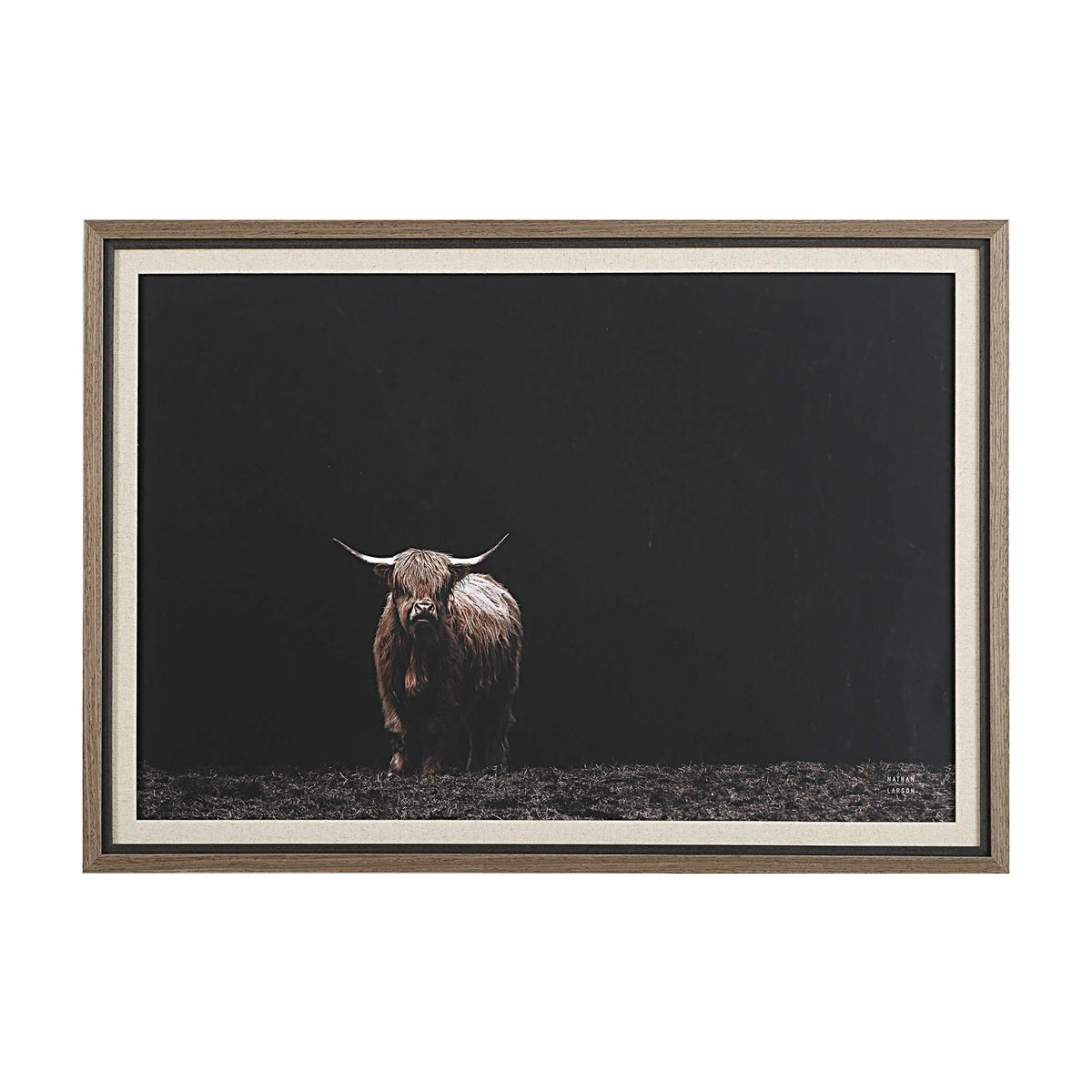 King of the Hill Highland Cow Photography Print