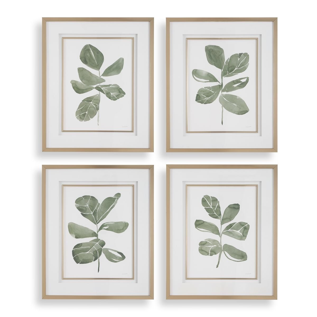 Fiddle Head Leaf Botanical Prints Set of 4