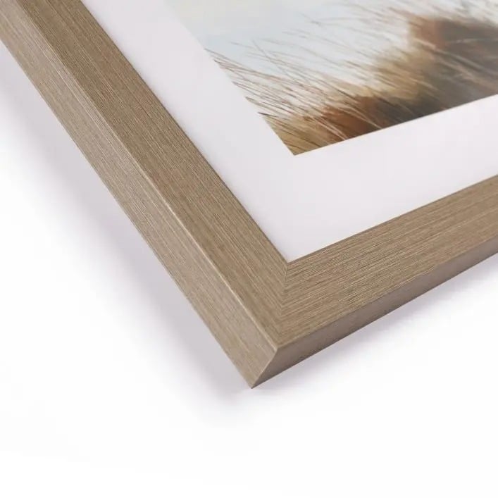 Beyond the Dunes Framed Art