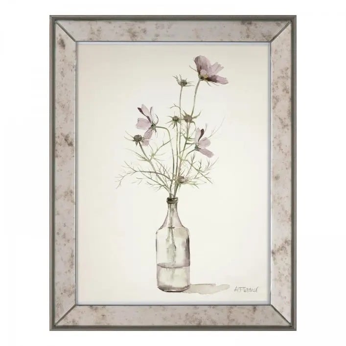 Cosmos Framed Art