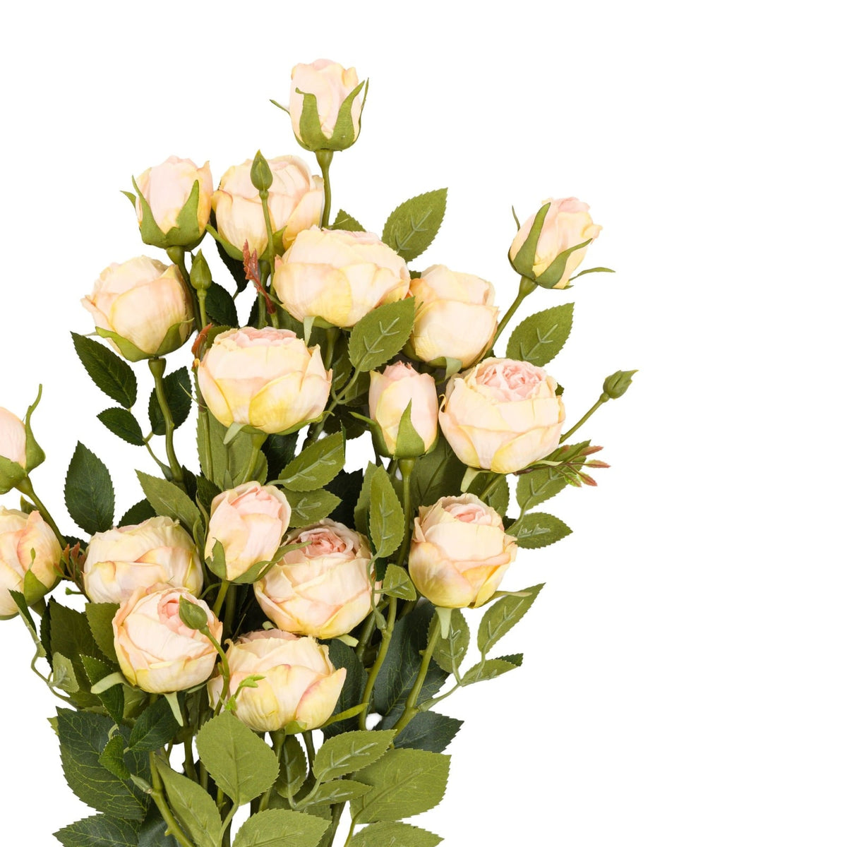 Faux Stem Vintage Rose White Set of 6