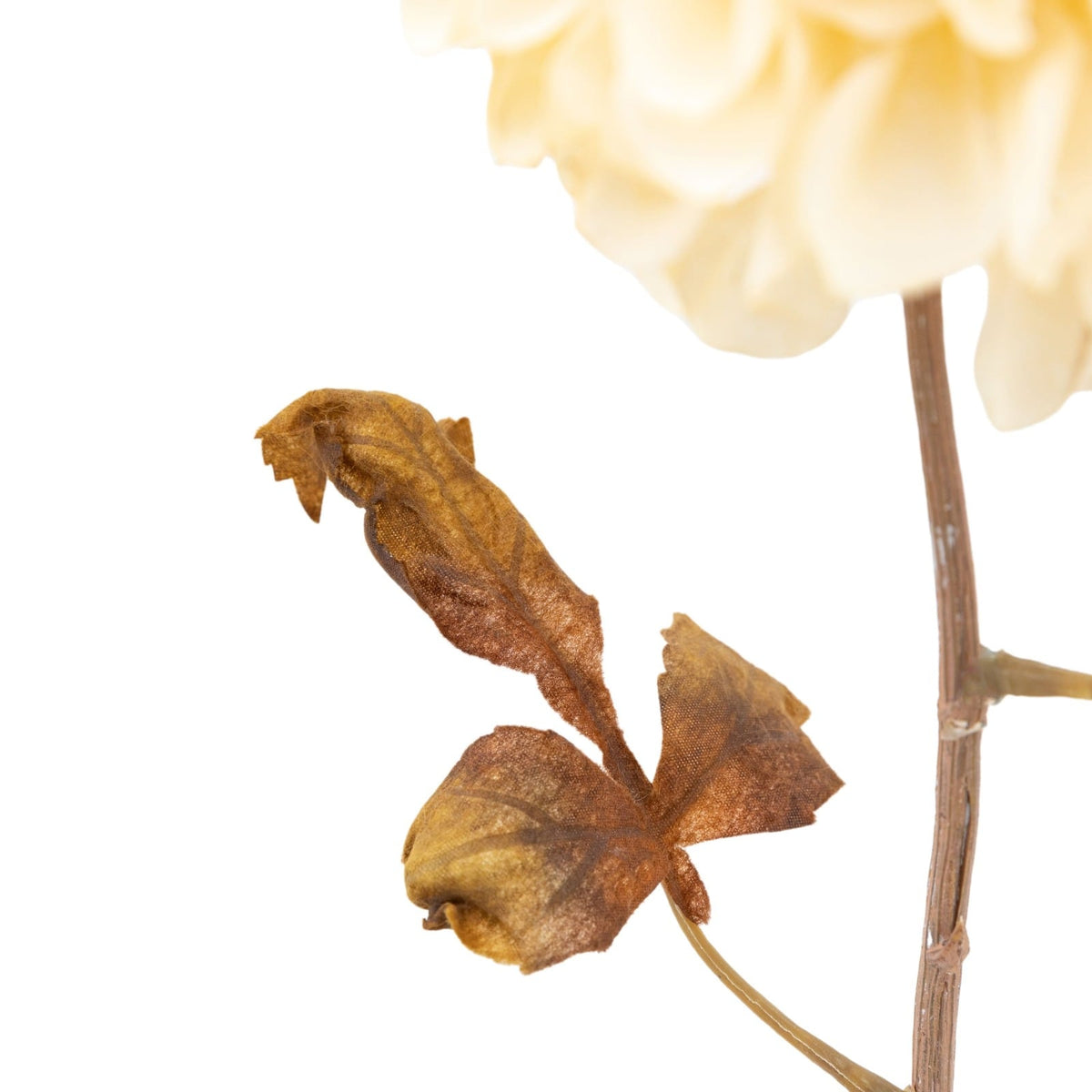 Faux Stem Dahlia in Ivory Set of 6