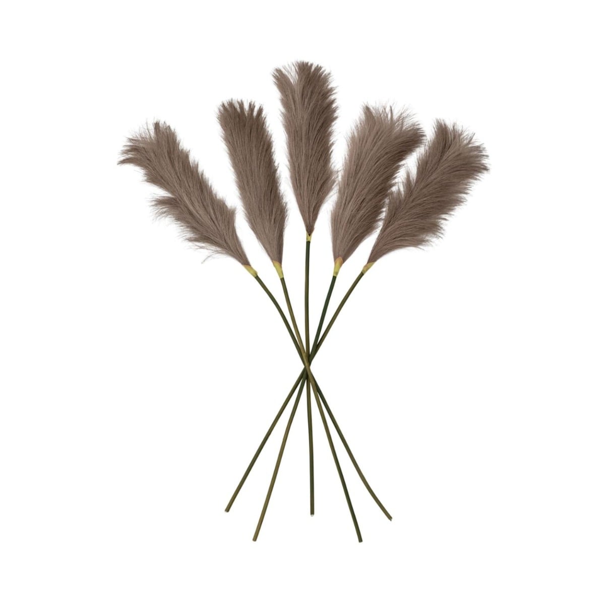 Goma Soft Feather Stem Brown Set of 5
