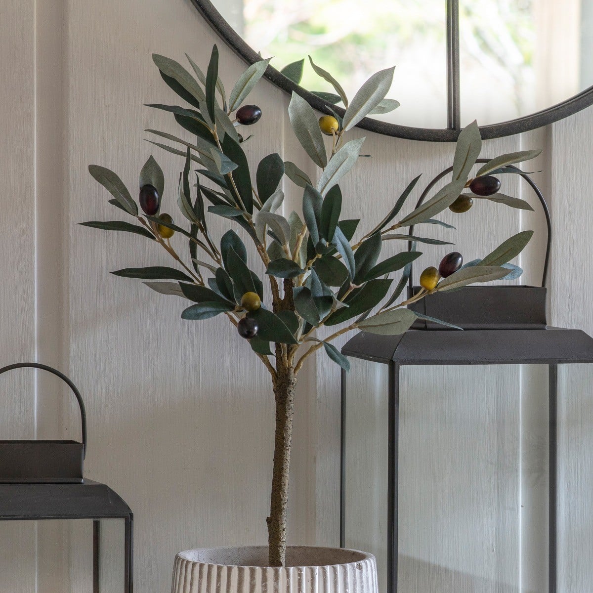 Olive Tree Small H.60cm