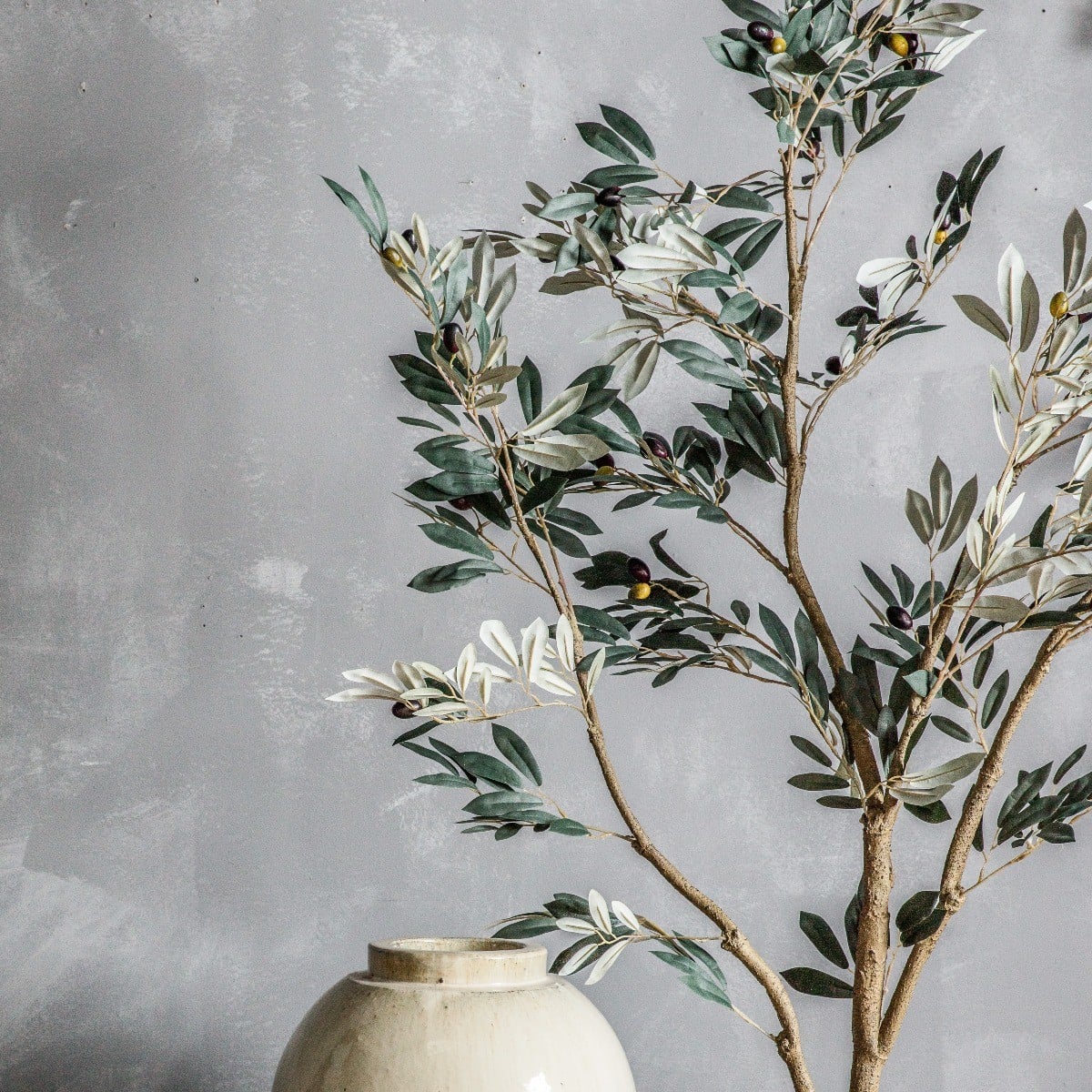 Olive Tree H.121cm