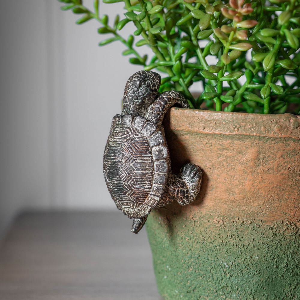 Tadeo Tortoise Pot Hanger Set of 2