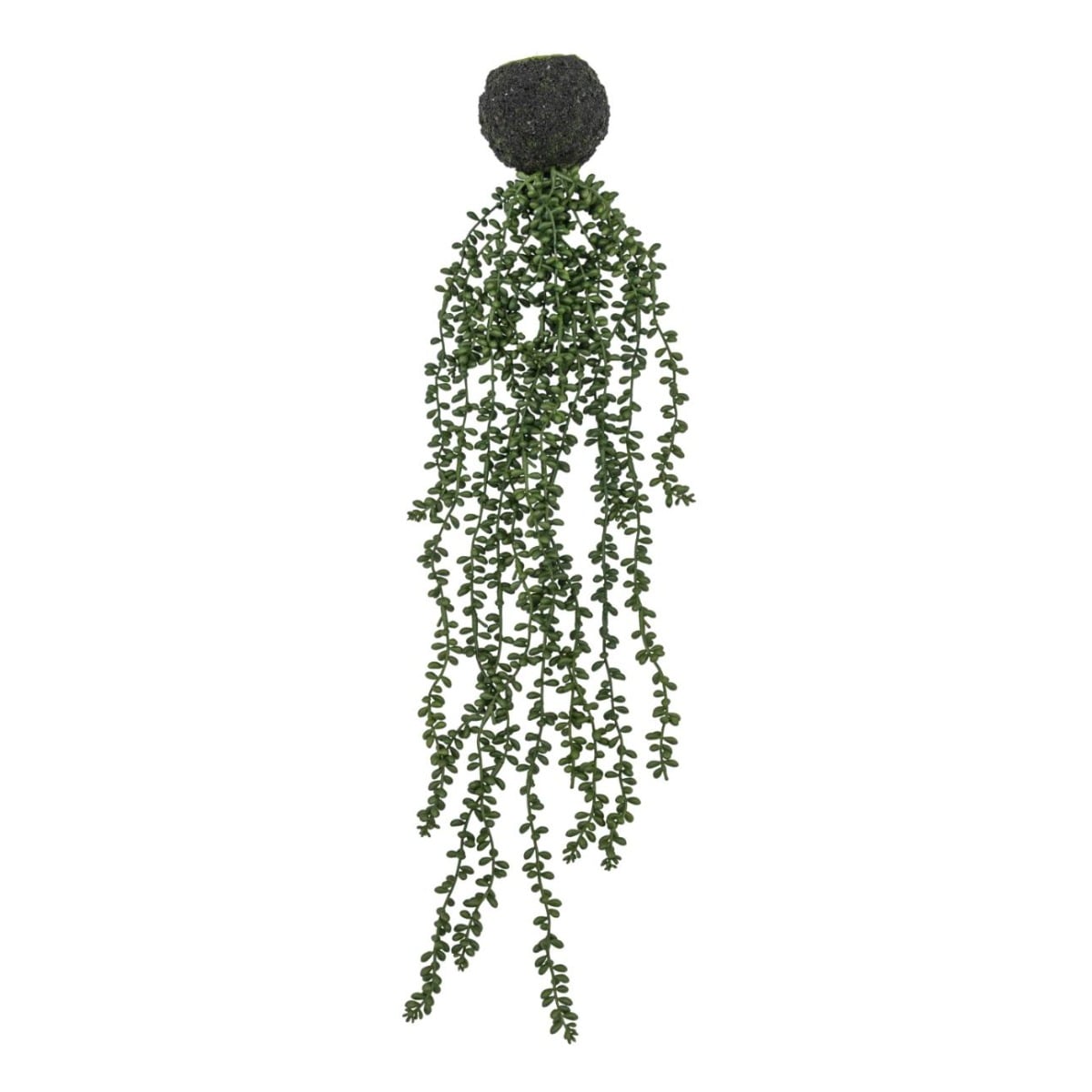 String of Pearls in Soil