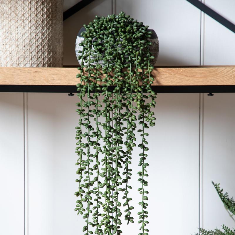 String of Pearls in Soil