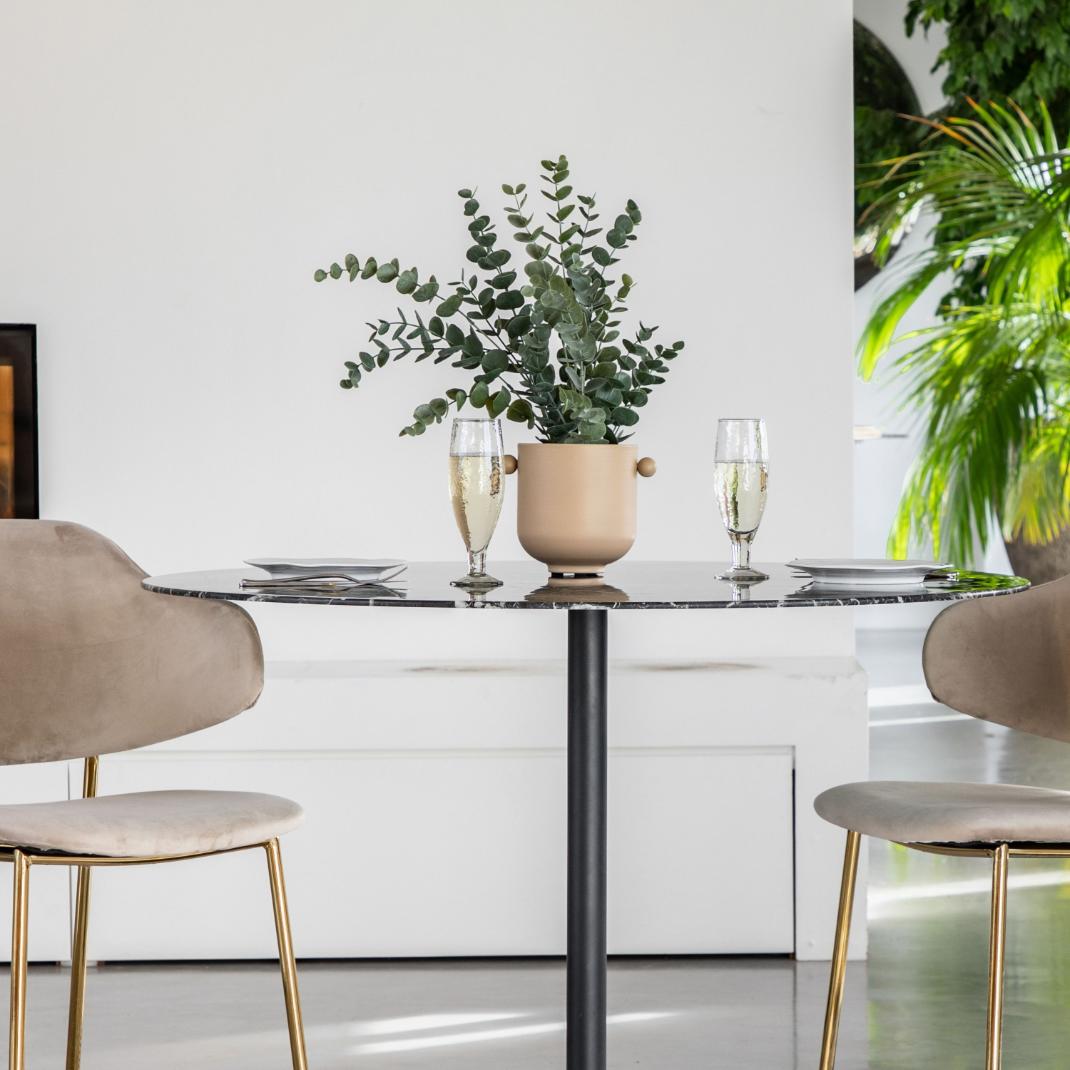 Eucalyptus in Soil Grey Green Large