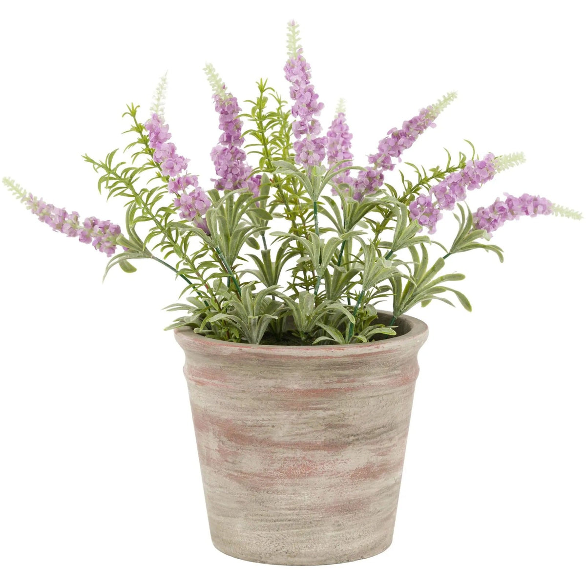 Potted Rustic Lilac Lavender