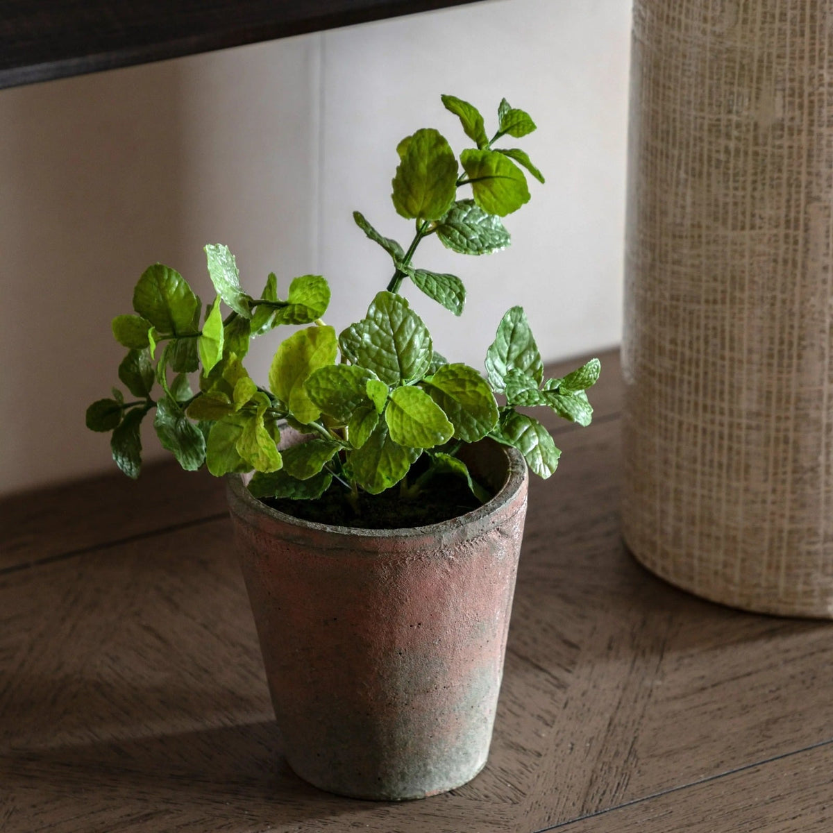 Potted Mint in Terracotta