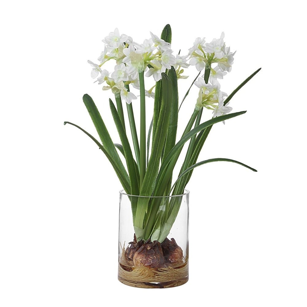 Lacey Daffodil Accent
